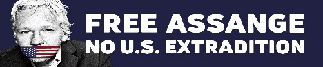 assange banner